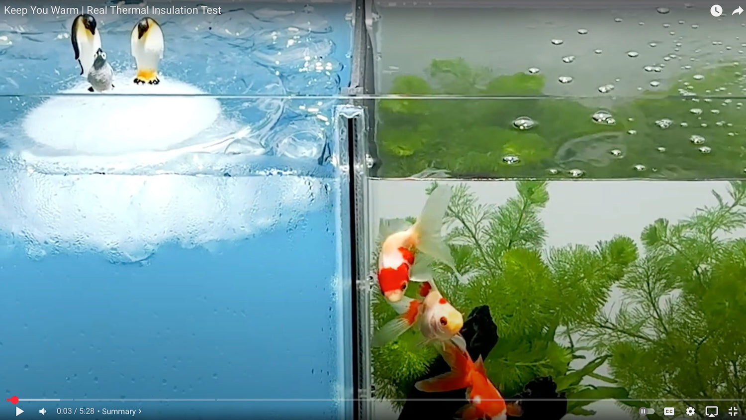 The Frozen Fish Test