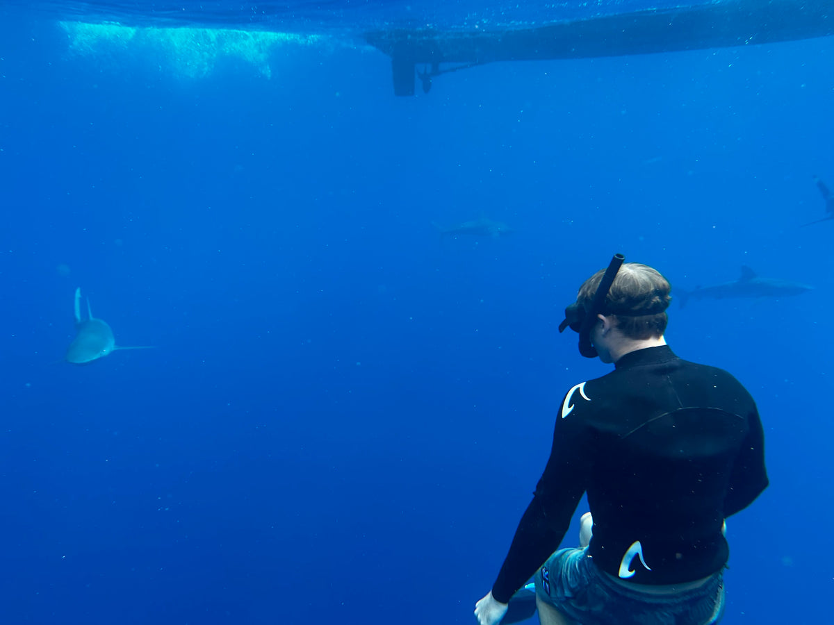 Diving With Sharks in Oahu